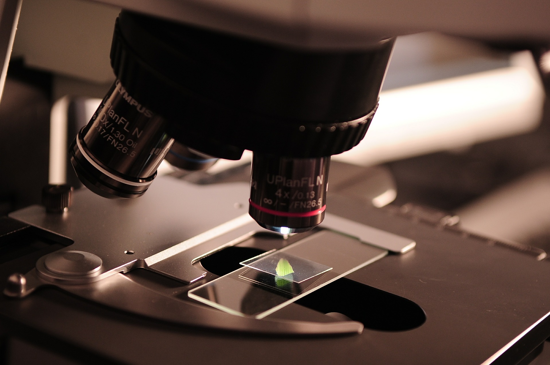 You're a Scientist? So What? - Vimarsana News