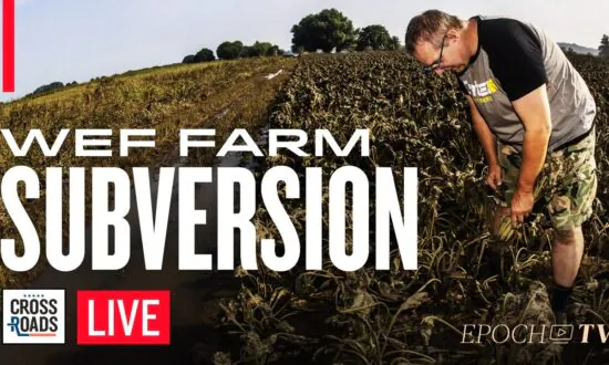 Netherlands Partnered with WEF to Subvert Global Food Ahead of Farm Bans; Bill Gates Involved