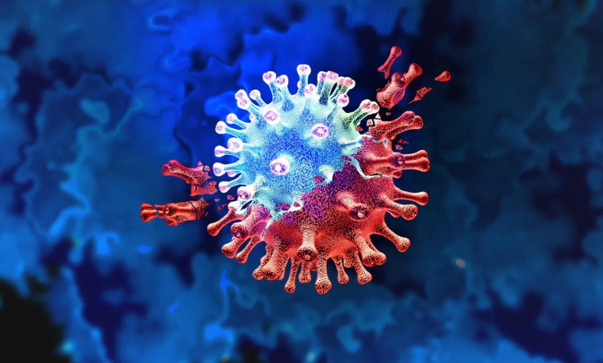 Taiwanese researchers found a new mutation in the S protein that belongs to the Omicron BA.2.3.7 lineage. (Lightspring/Shutterstock)