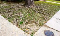 The Root of the Problem