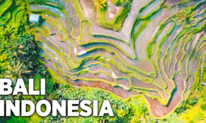 Bali Indonesia Ambient Drone Film | Simple Happiness Episode 7