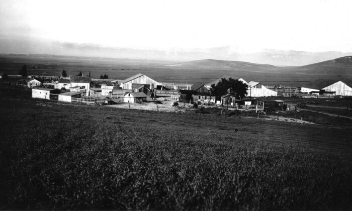 Camp Bonita, Irvine Ranch, in 1937. (Courtesy of Orange County Archives)
