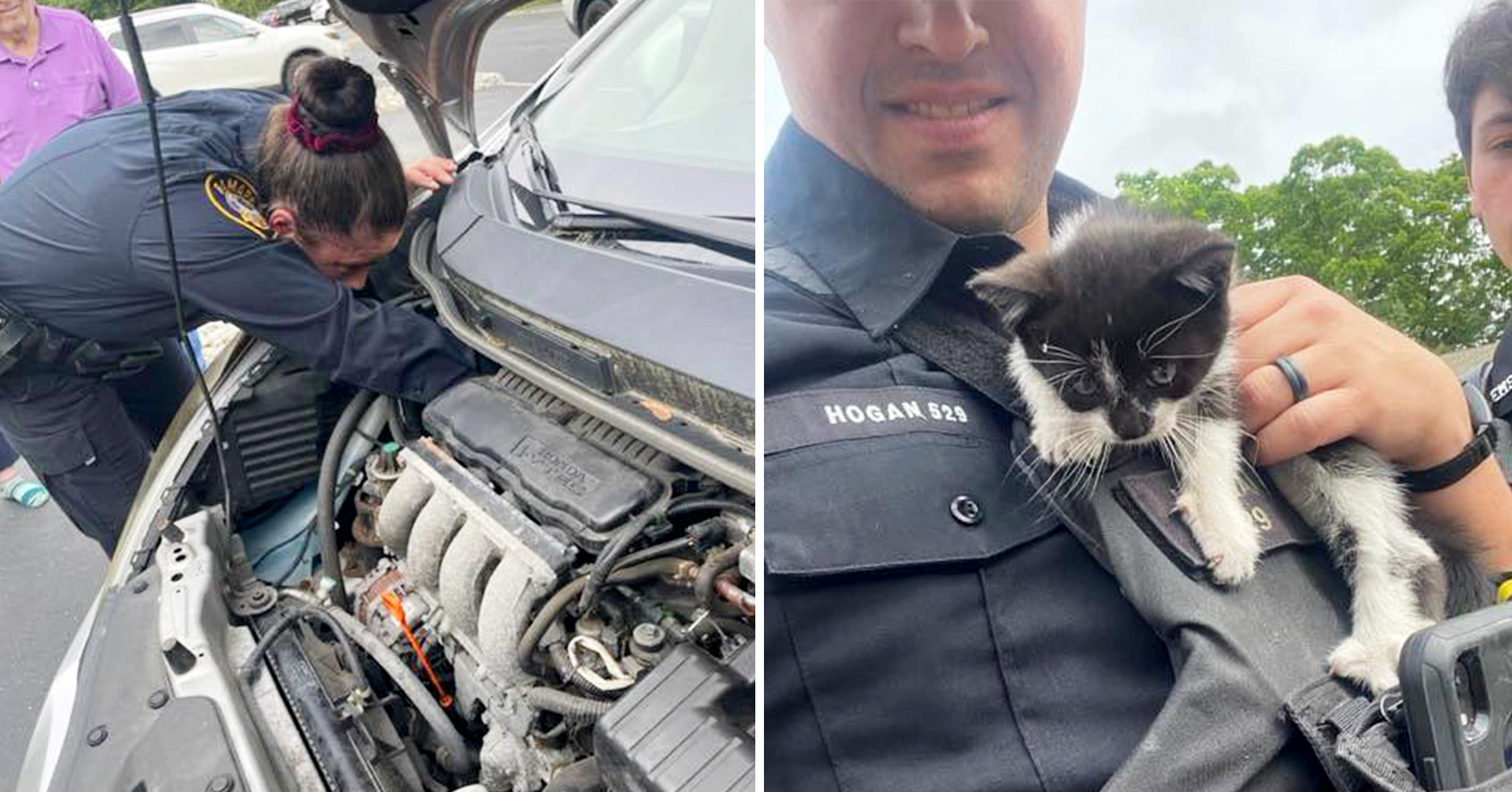 Kitten Trapped Between Car Engine Block and Firewall Rescued by Police