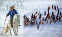 Photographer Captures Mongolia’s Herdsmen Showcasing Incredible Horse Herding Skills in Epic Winter Festival