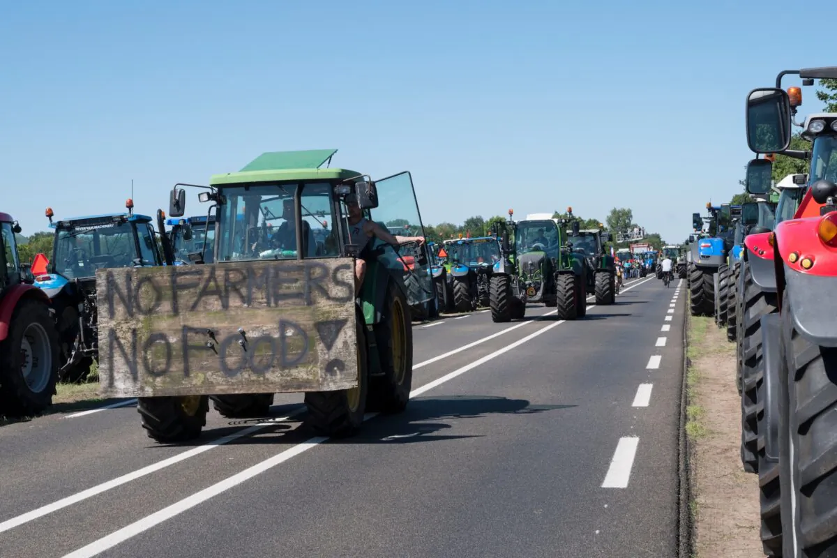 Dutch farmers are protesting against what they see as harsh measures to cut down nitrogen emissions. (PMVfoto/Shutterstock)