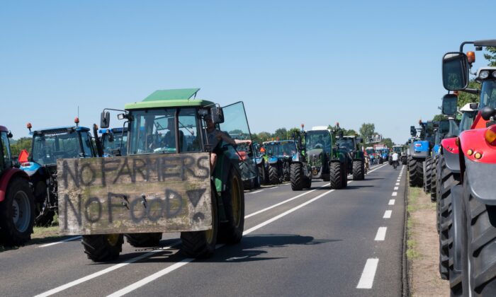 Dutch farmers are protesting against what they see as harsh measures to cut down nitrogen emissions. (PMVfoto/Shutterstock)