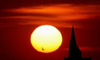 Heat Wave Scorches Europe; Health Warnings Issued