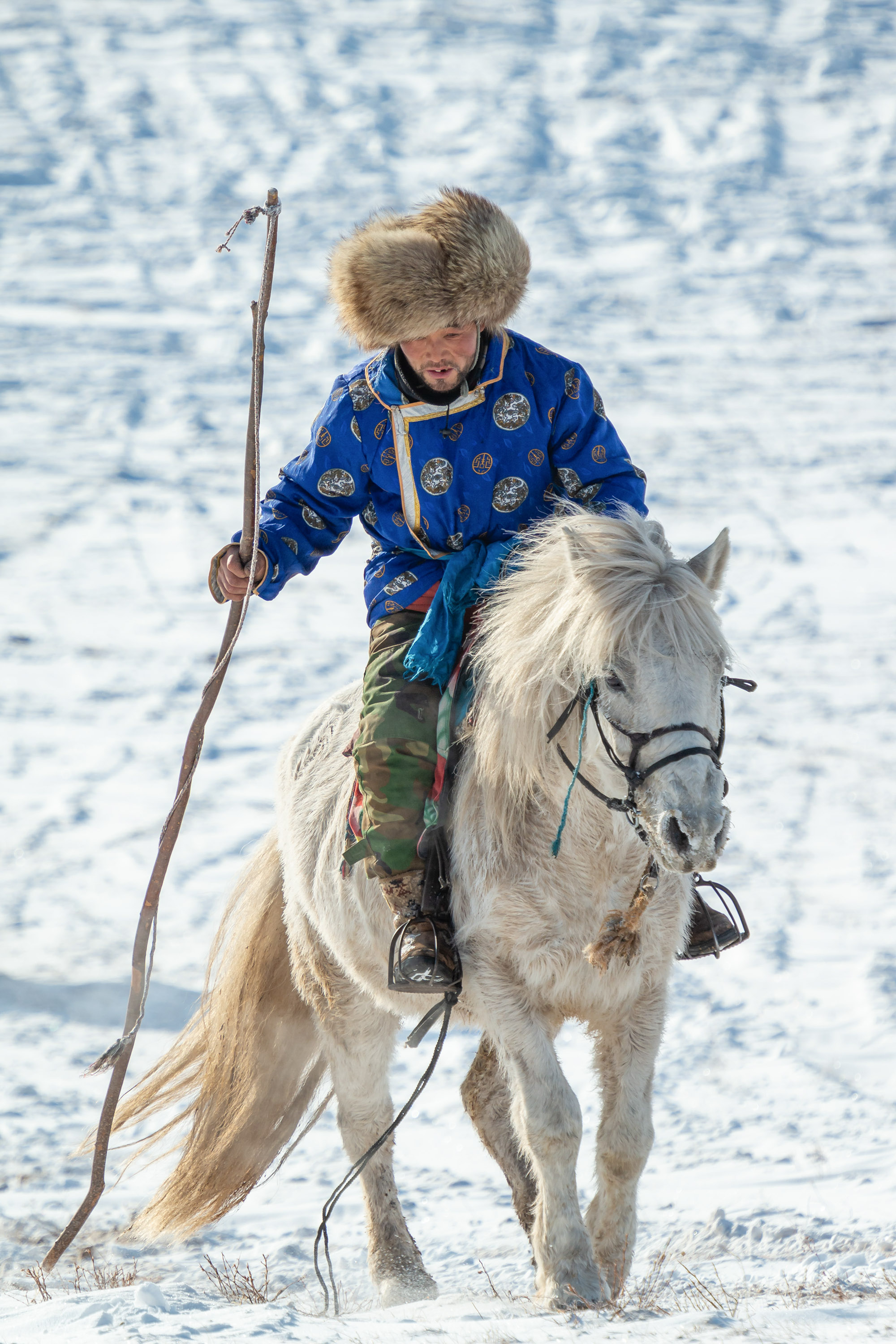 Photographer Captures Mongolia’s Herdsmen Showcasing Incredible Horse ...