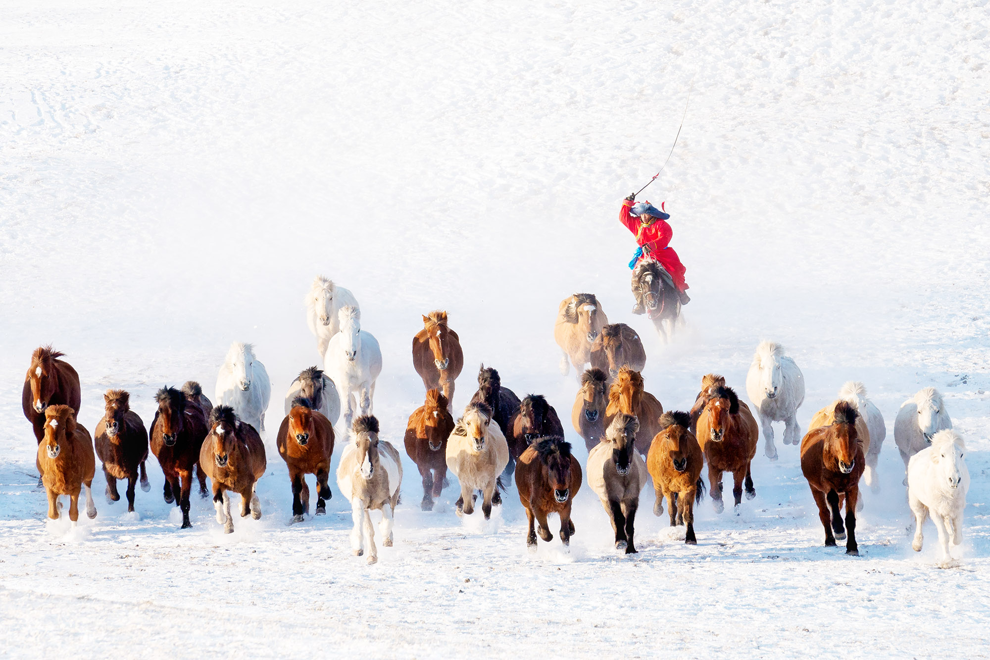 Photographer Captures Mongolia’s Herdsmen Showcasing Fantastic Horse Herding Abilities in Epic Iciness Competition