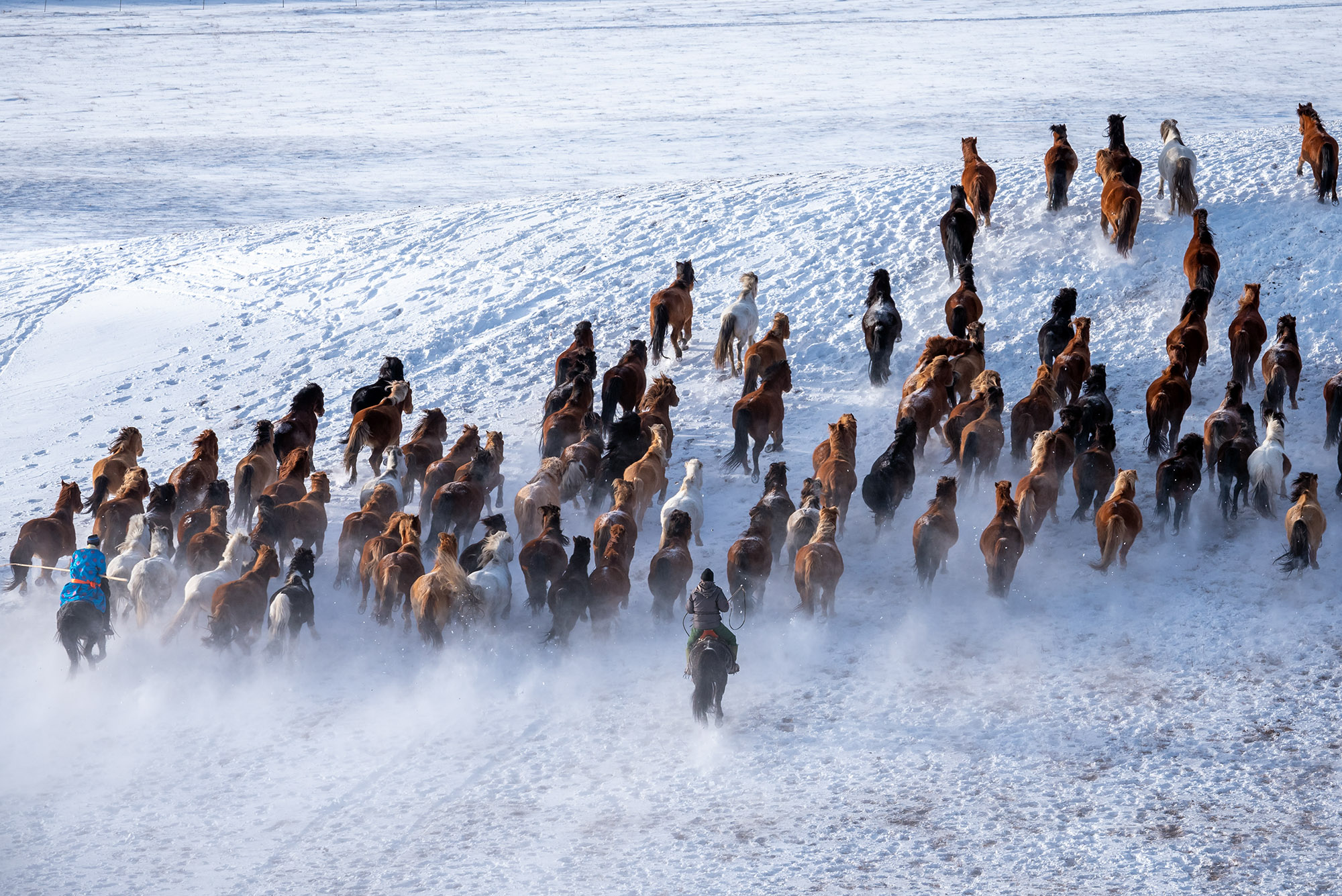 Photographer Captures Mongolia’s Herdsmen Showcasing Incredible Horse ...