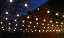 Turn Out the Lights, Enjoy the Stars, and Save Our Natural World