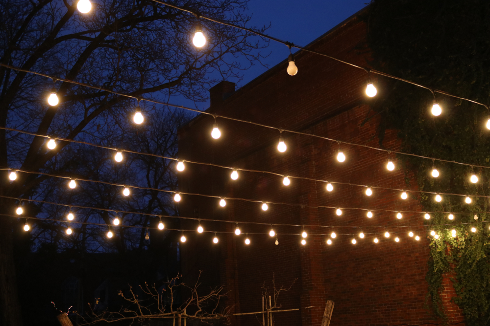 Decorative lights can add whimsy and wonder to our backyards—but they come with negative effects on the environment and the wildlife we share it with. (rob5taylor/Shutterstock)