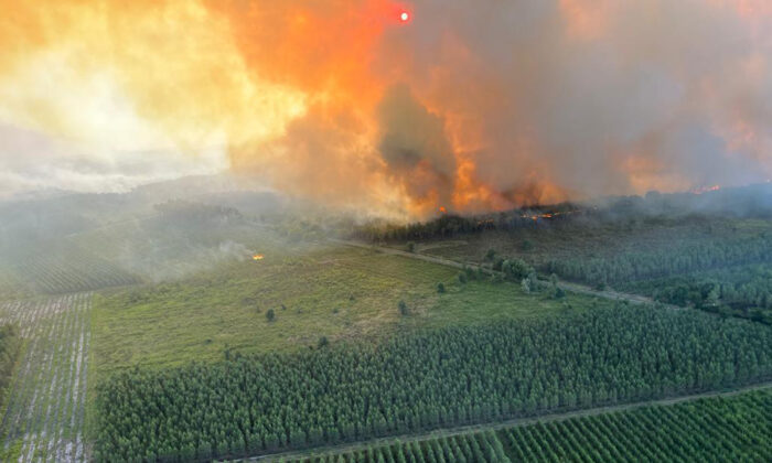 A wildfire near Landiras, southwestern France, on July 17, 2022, in a photo provided by the fire brigade of the Gironde region (SDIS 33). (SDIS 33 via AP)