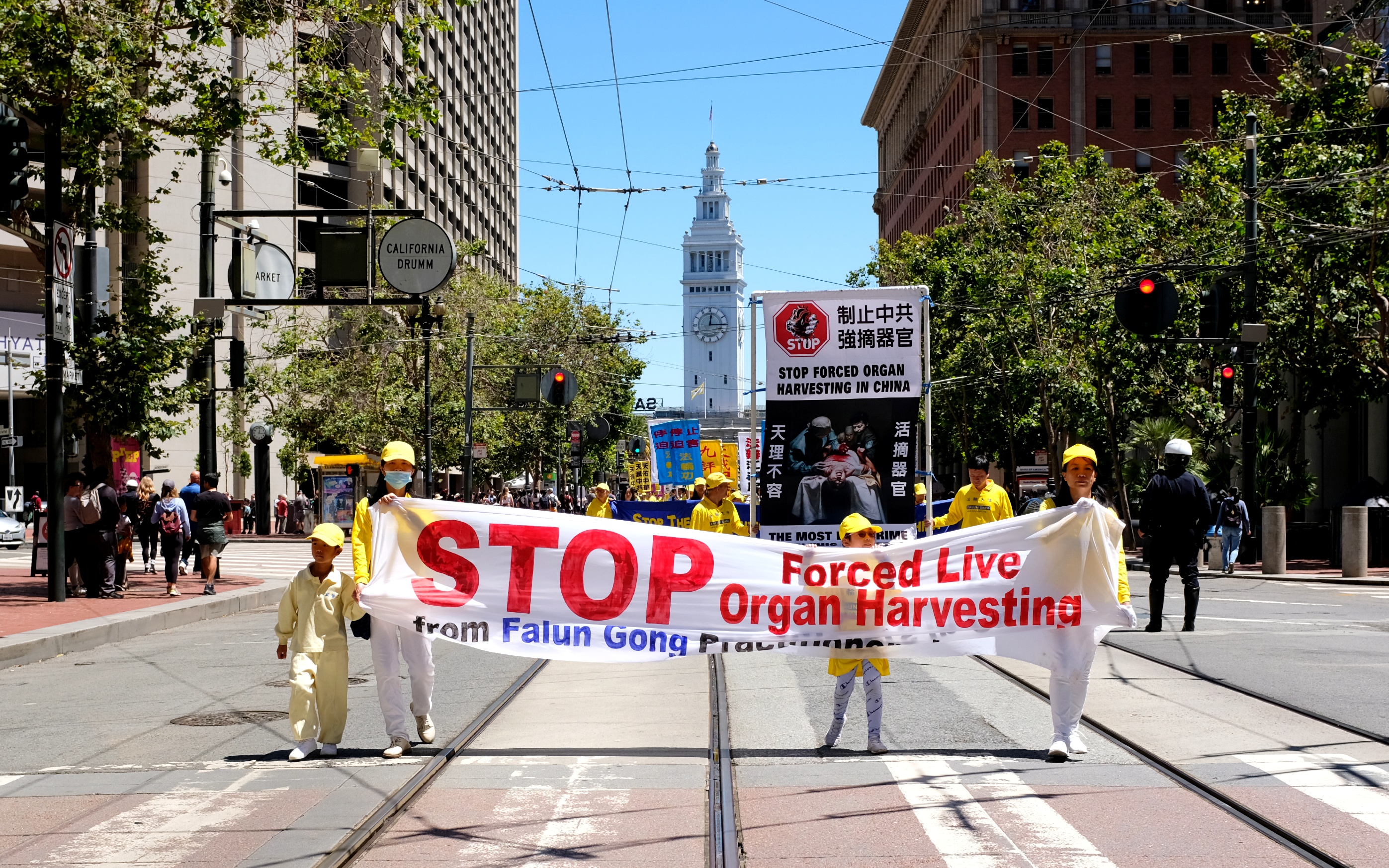International Society for Heart and Lung Transplantation Bans Research Papers From China - Vimarsana News