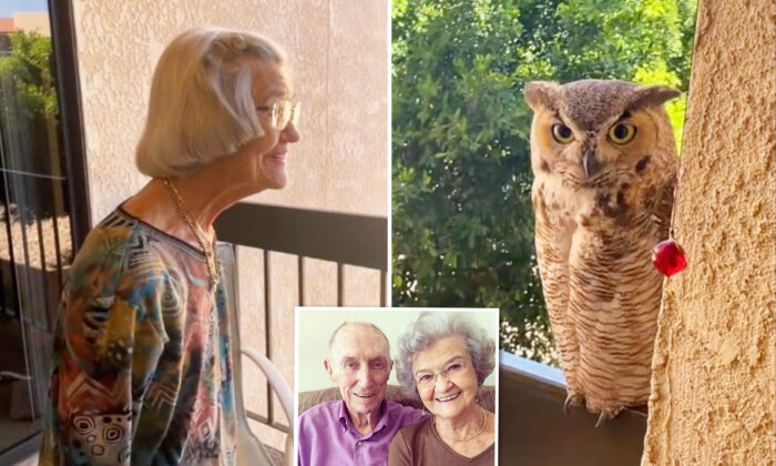 VIDEO: Chatty Owl Visits 98-Year-Old Grandma Daily; Family Thinks It's a Sign From Late Grandpa