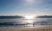 Shark Sighting Leads to Temporary Huntington Beach Closure