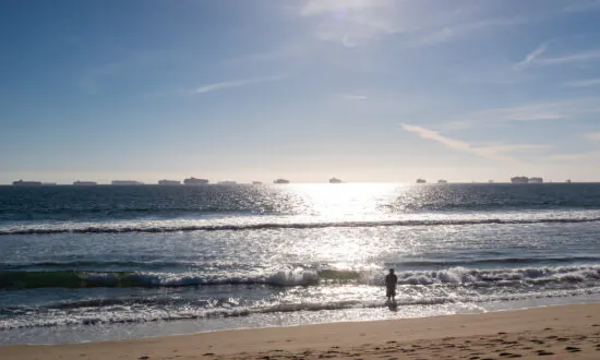 Shark Sighting Leads to Temporary Huntington Beach Closure