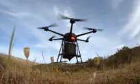 Drones Plant Millions of Trees in Australia’s Biggest Botanical Garden