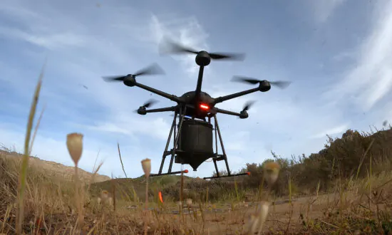 Drones Plant Millions of Trees in Australia’s Biggest Botanical Garden