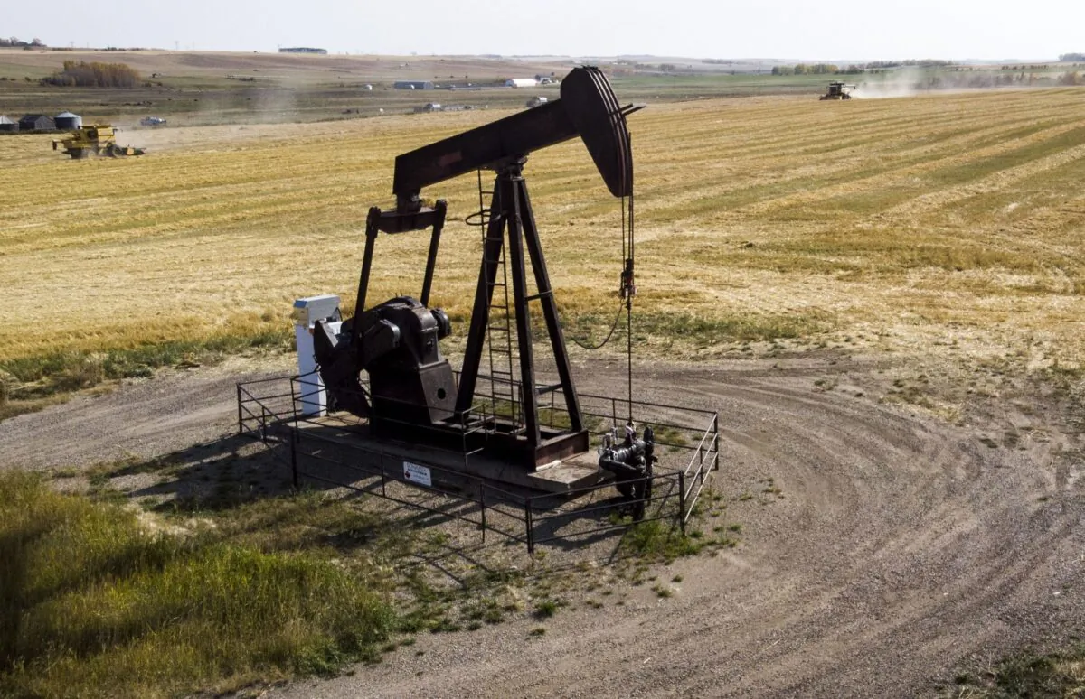 An oil and gas pumpjack operates in a wheat field near Cremona, Alta., on Oct. 1, 2020. (The Canadian Press/Jeff McIntosh)