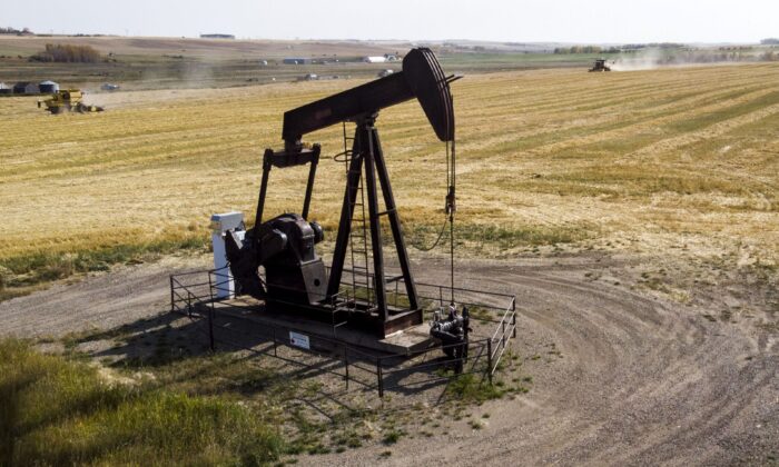 An oil and gas pumpjack operates in a wheat field near Cremona, Alta., in a file photo. (Canadian Press/Jeff McIntosh)
