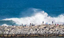 Fun Things to Do in Orange County This Weekend