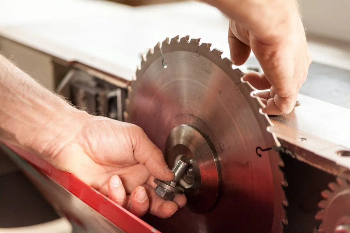 A general rule of thumb is a blade with fewer teeth will cut wood faster than one with many teeth, but the quality of the cut will be rougher. (Giulio_Fornasar/Shutterstock)