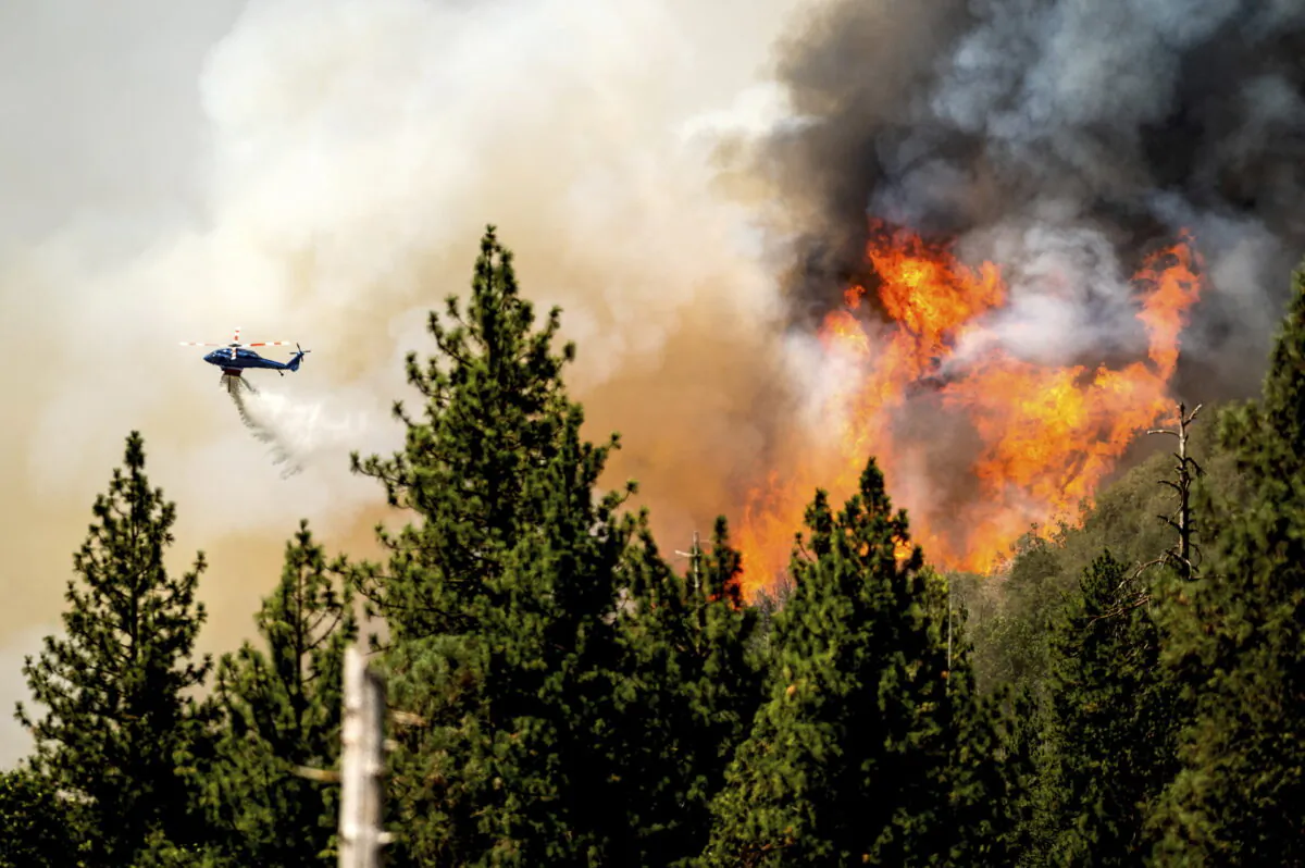 A helicopter drops water while battling the Oak Fire in Mariposa County, Calif., on July 24, 2022. (Noah Berger/AP Photo)