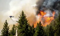 Firefighters Slow Growth of California Blaze Near Yosemite