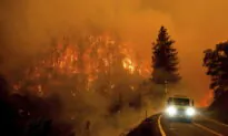 California’s Prop. 30 Will Not Save the Forests