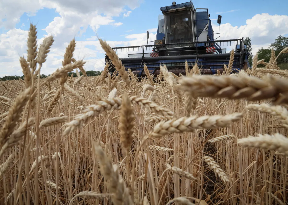Farmers harvest wheat, amid Russia's attack on Ukraine, in the Donbas region, Ukraine July 13, 2022. REUTERS/Gleb Garanich