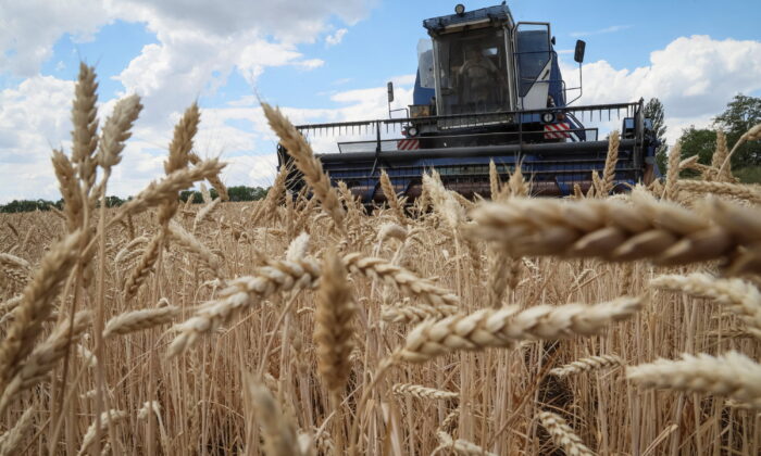Farmers harvest wheat, amid Russia's attack on Ukraine, in the Donbas region, Ukraine July 13, 2022. REUTERS/Gleb Garanich