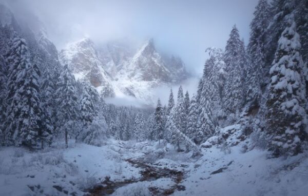 Photo taken in the Dolomites of Italy in the snow