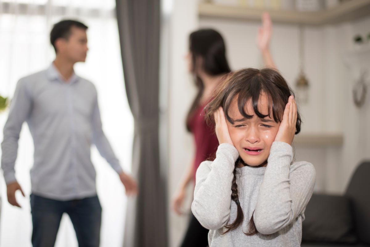 Family Violence Reform for Survivors in Australian State - Vimarsana News