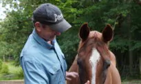Compassion Ranch: Saving Animals and Strengthening Character in Youth