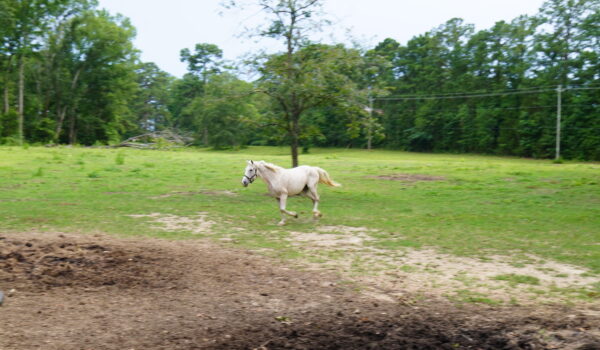 Epoch Times Photo