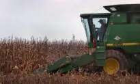 Food More Expensive, But Shortage Unlikely Amid Solid Harvest Expectations
