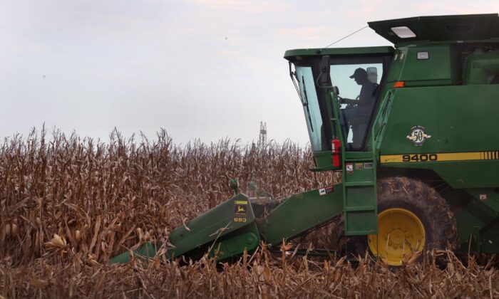 Farmer harvests corn in Princeton, Ind., on Oct. 11, 2021. (Scott Olson/Getty Images)