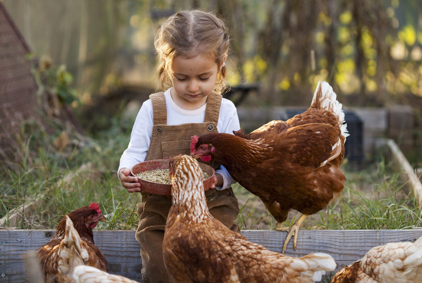 7 Fun Summer Businesses for Kids - Vimarsana News