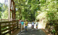 5 Tips for First Time Hiking With Kids