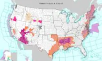 100 Million People Under Heat Alerts Amid ‘Oppressive’ Heat Wave
