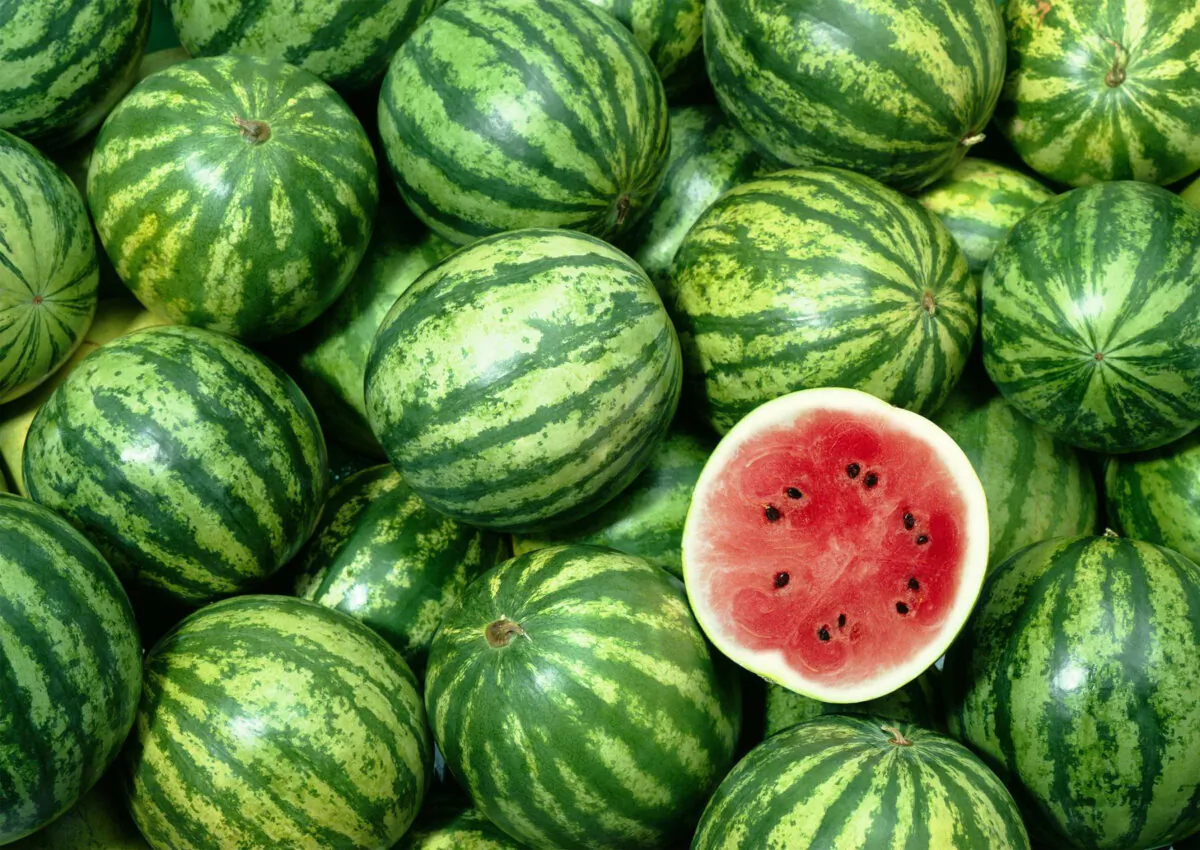 Never pick a less than perfect watermelon again. (RedHelga/E+ via Getty Images Plus)