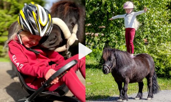 6-Year-Old Girl Becomes Best Friends With Miniature Horse, Gives Him Glitter Pedicures