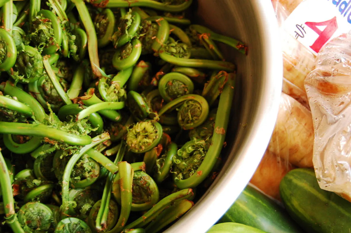 Fiddlehead ferns are mild and sweet. (Dreamstime/TNS)