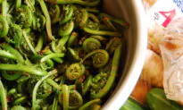 Are There Edible Ferns?