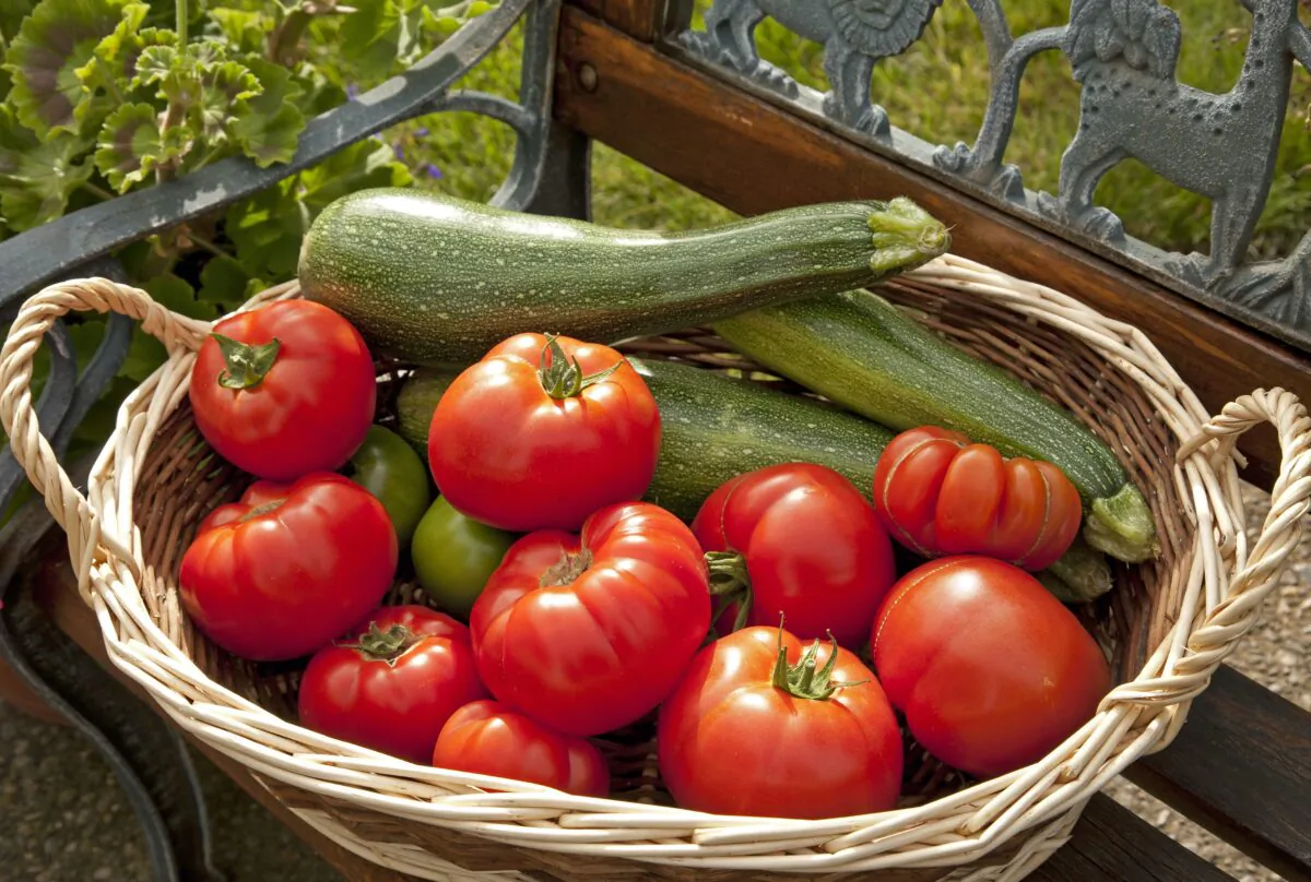 Seasonal tomatoes and zucchini are combined with chicken in vermouth. (Margaretha Maryk/Shutterstock)
