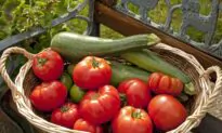 Savory Sage Chicken with Zucchini and Tomato Rice