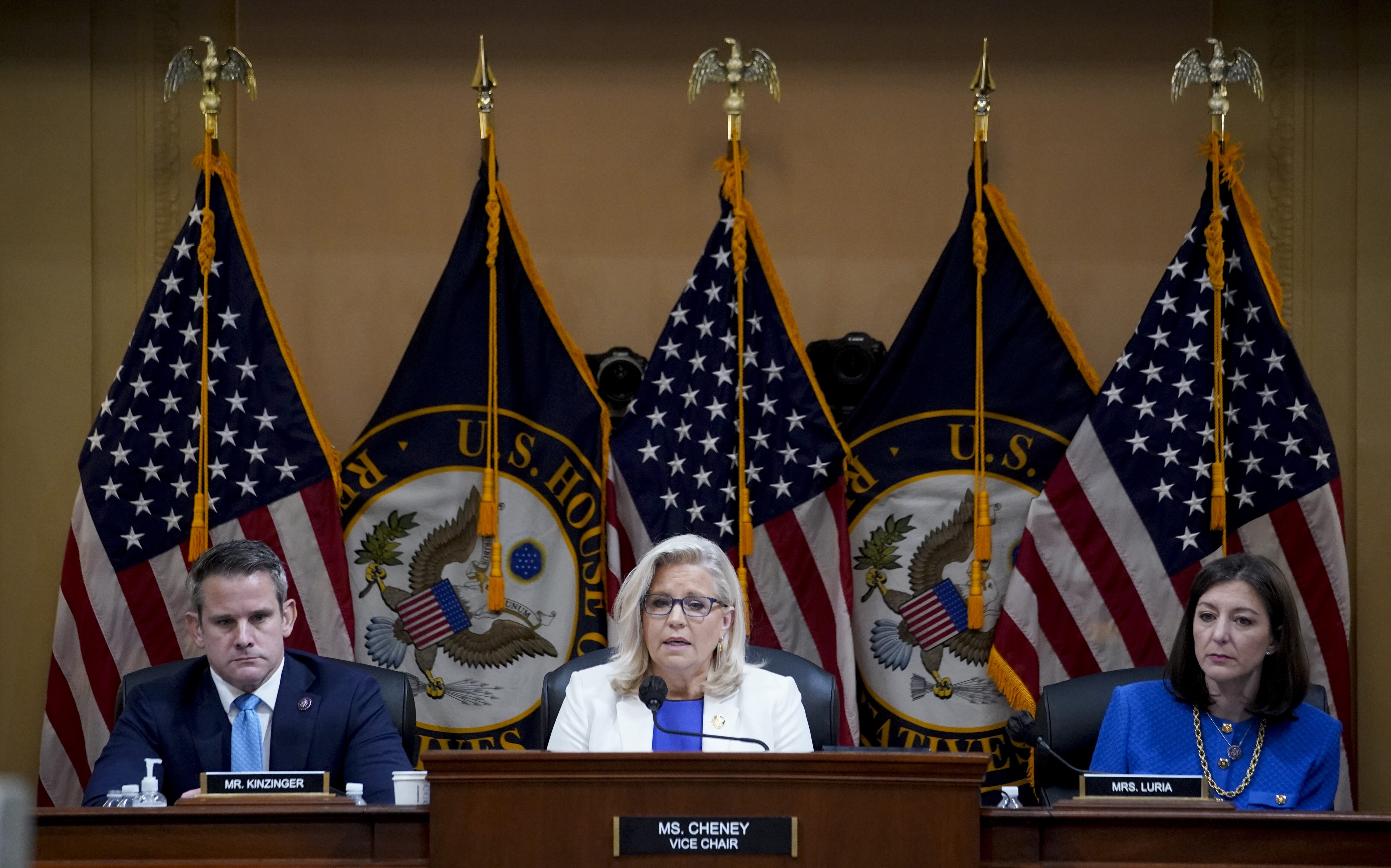 January 6 Committee Details Trump's Movements During '187 Minutes' At 8th Hearing - Vimarsana News