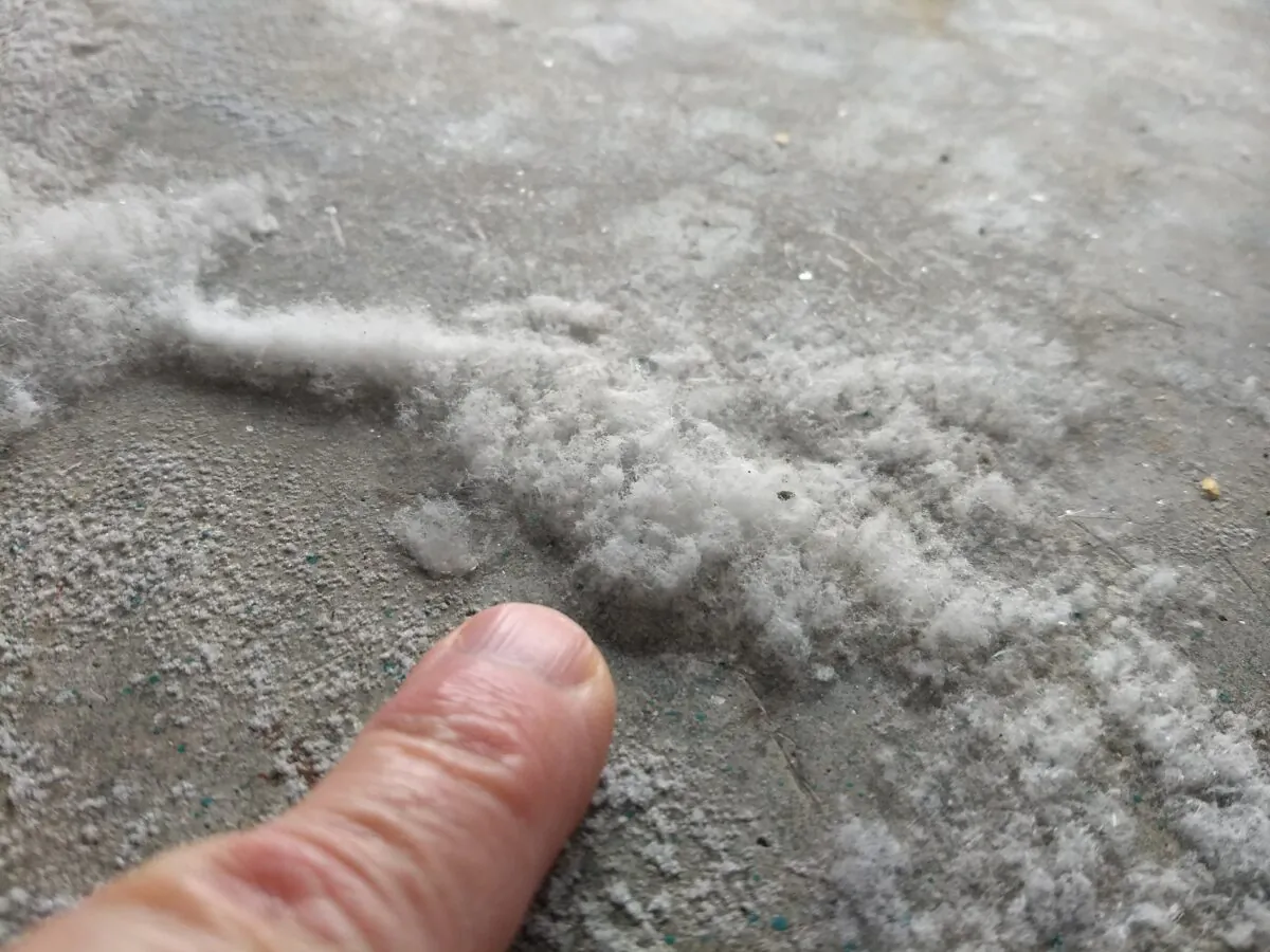 My finger is pointing to efflorescence on a concrete garage floor. These are harmless rock salt crystals not mold as many believe it to be. (Tim Carter/TNS)
