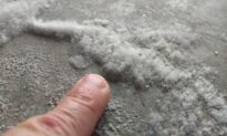 Fluffy Salt Crystals Are Not Mold